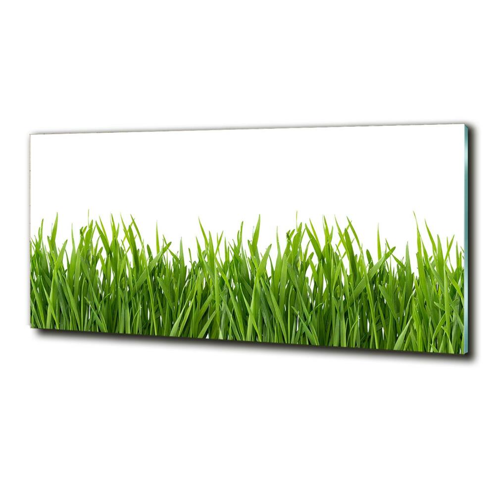 Tableau sur verre Herbe