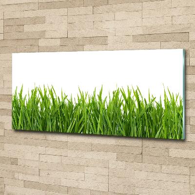 Tableau sur verre Herbe