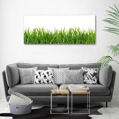 Tableau sur verre Herbe