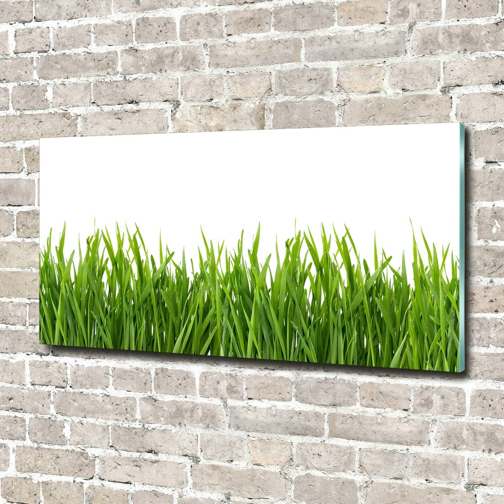 Tableau sur verre Herbe