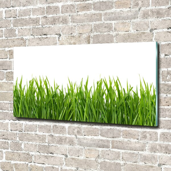 Tableau sur verre Herbe