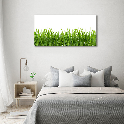 Tableau sur verre Herbe