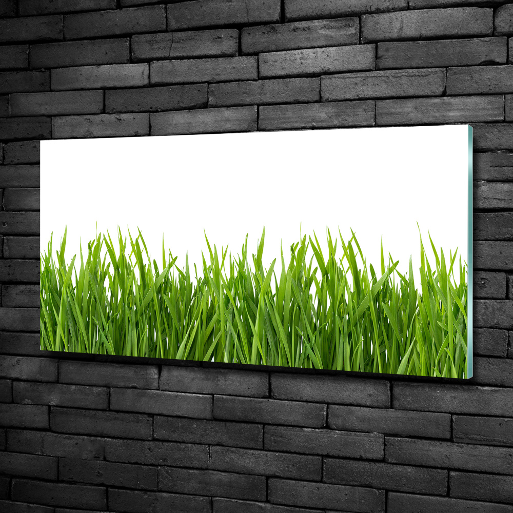 Tableau sur verre Herbe