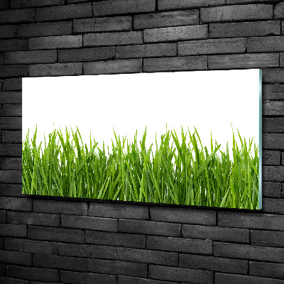 Tableau sur verre Herbe