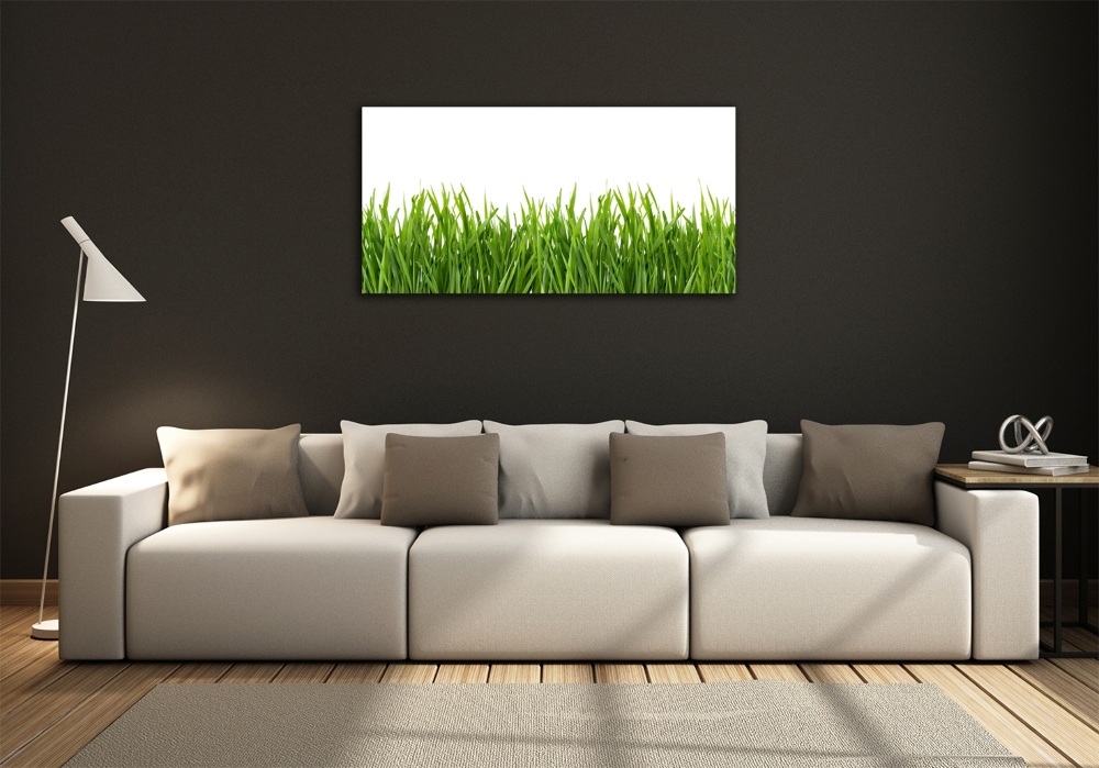 Tableau sur verre Herbe