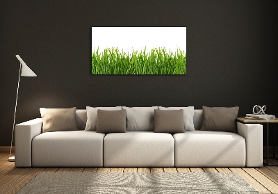 Tableau sur verre Herbe