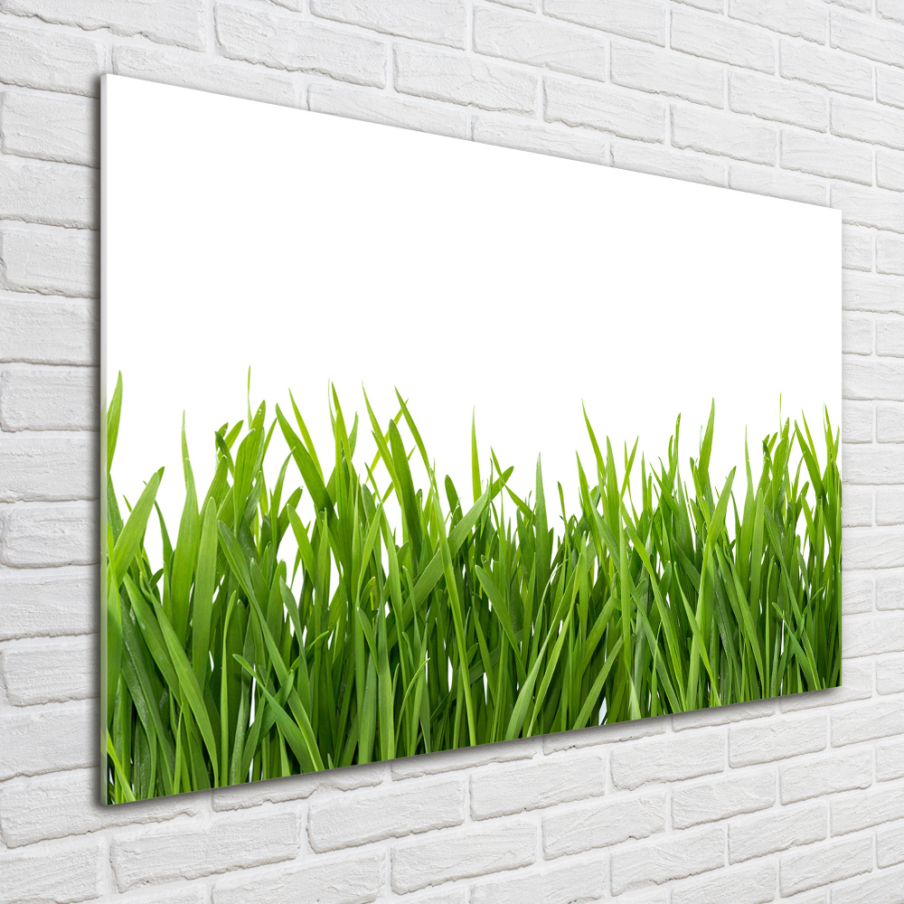 Tableau sur verre Herbe