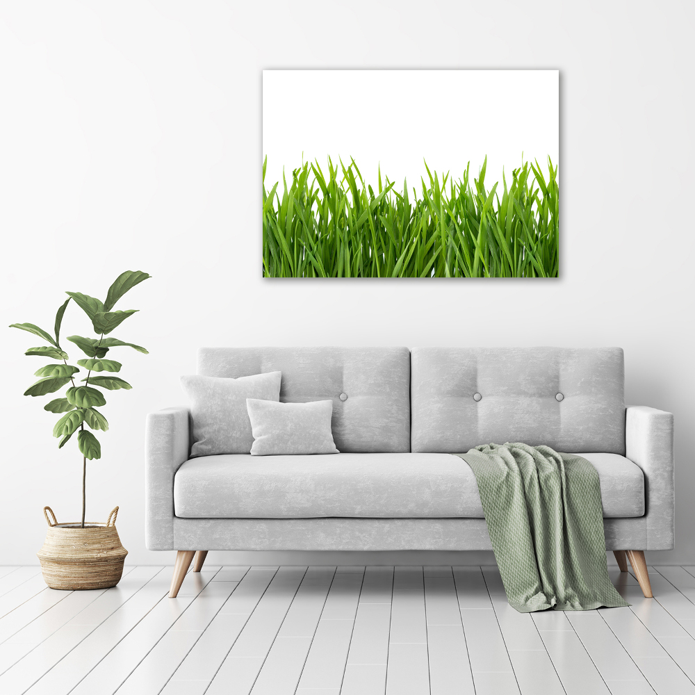 Tableau sur verre Herbe