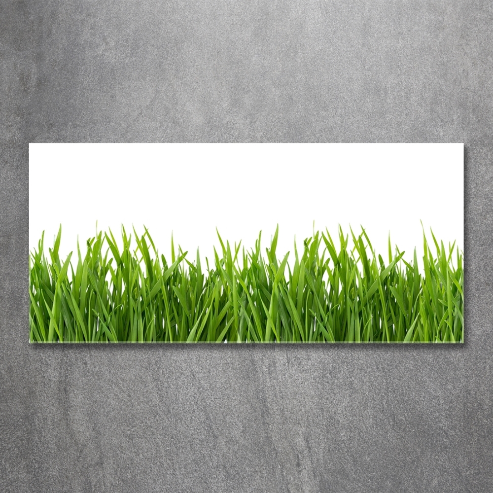 Tableau sur verre Herbe