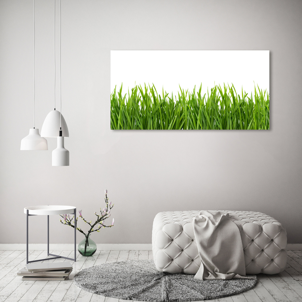 Tableau sur verre Herbe