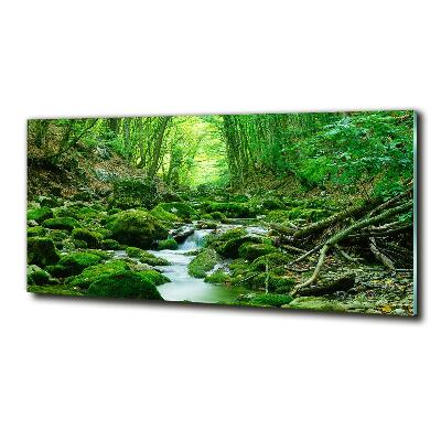 Tableau imprimé sur verre Ruisseau dans la forêt