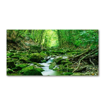 Tableau imprimé sur verre Ruisseau dans la forêt