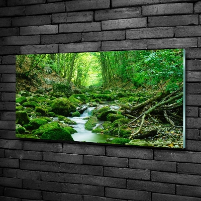 Tableau imprimé sur verre Ruisseau dans la forêt