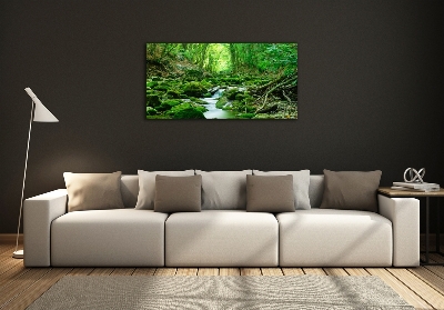 Tableau imprimé sur verre Ruisseau dans la forêt