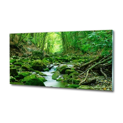 Tableau imprimé sur verre Ruisseau dans la forêt