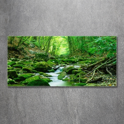 Tableau imprimé sur verre Ruisseau dans la forêt