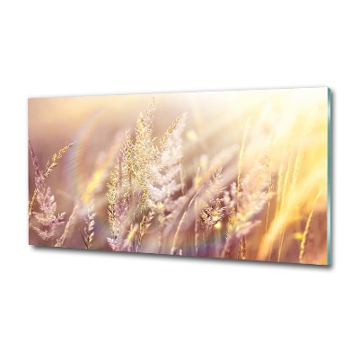 Tableau photo sur verre Grandes herbes