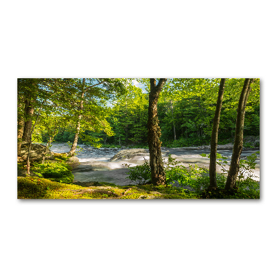 Tableau verre imprimé Rivière dans la forêt