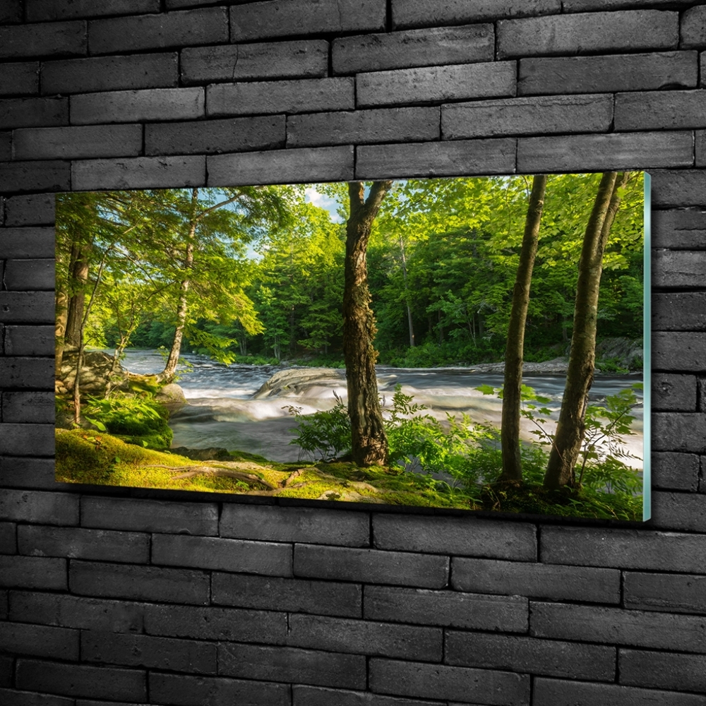 Tableau verre imprimé Rivière dans la forêt