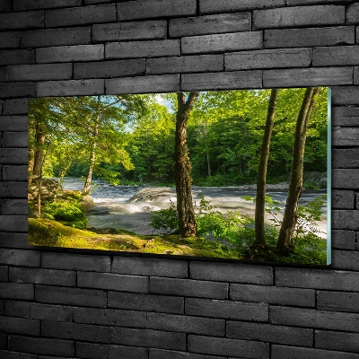 Tableau verre imprimé Rivière dans la forêt