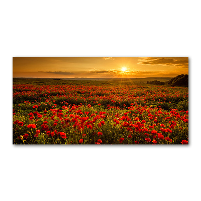 Tableau verre imprimé Champ de coquelicots