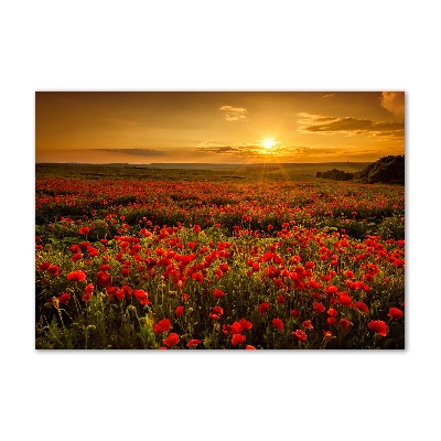 Tableau verre imprimé Champ de coquelicots