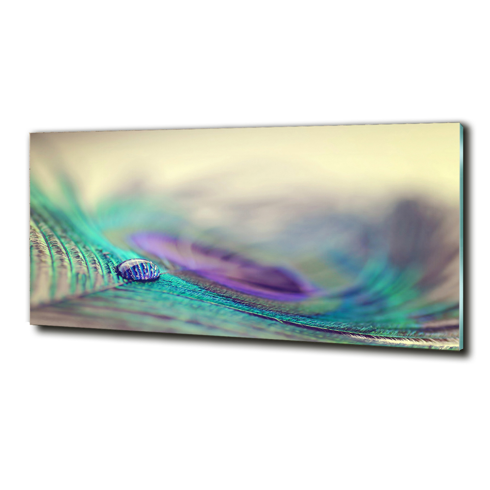 Tableau photo sur verre Gouttes sur une plume