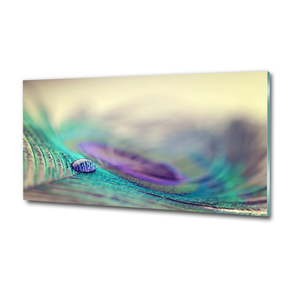 Tableau photo sur verre Gouttes sur une plume