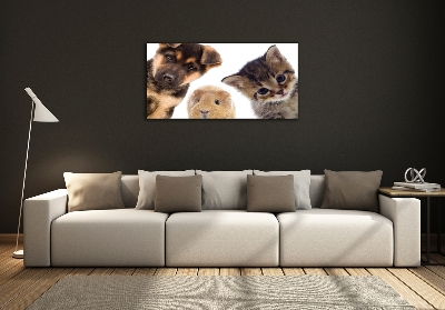 Tableau imprimé sur verre Animaux de compagnie