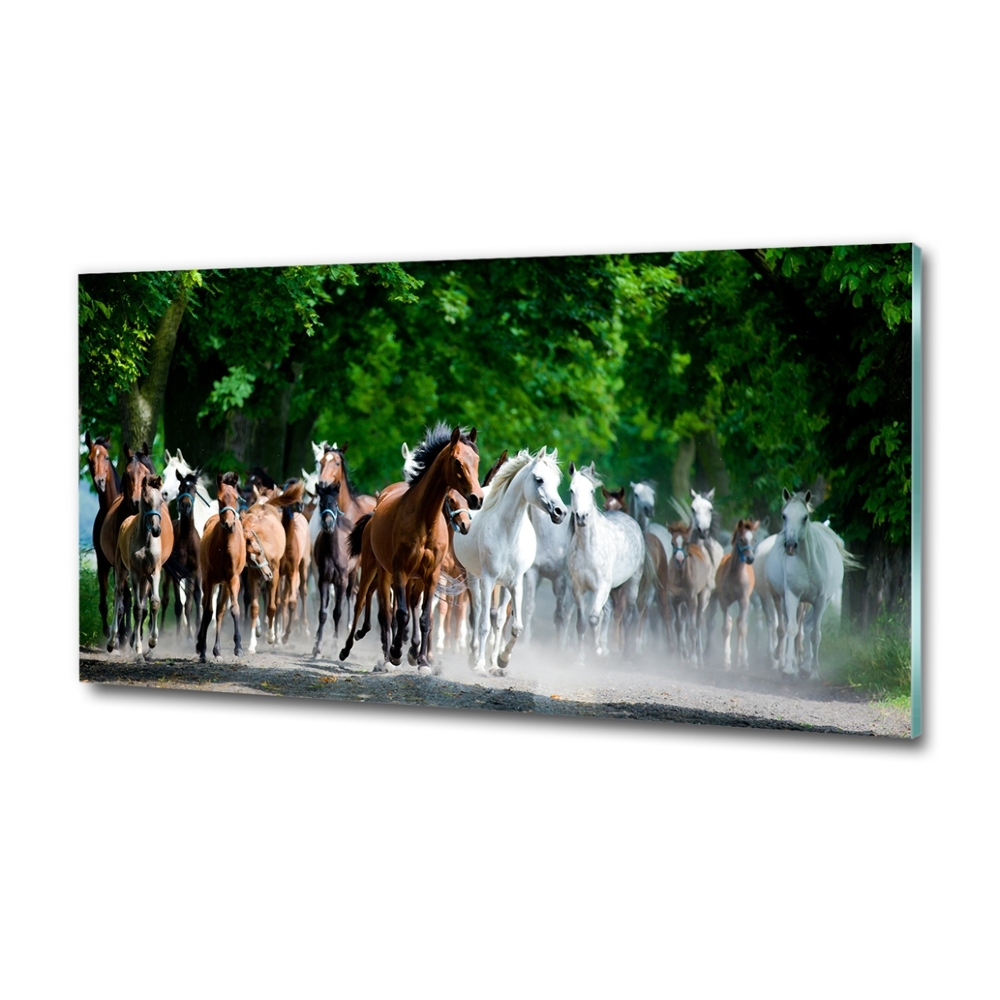 Tableau en verre Chevaux au galop