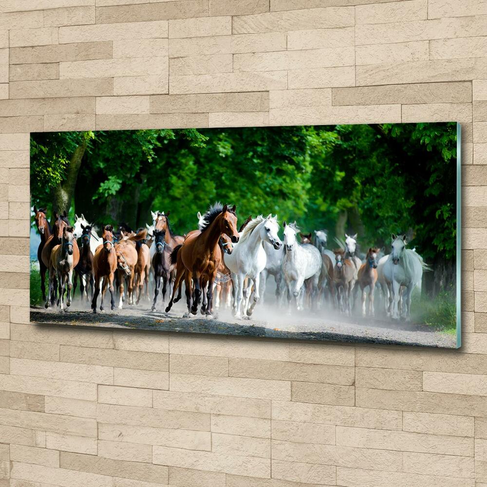 Tableau en verre Chevaux au galop