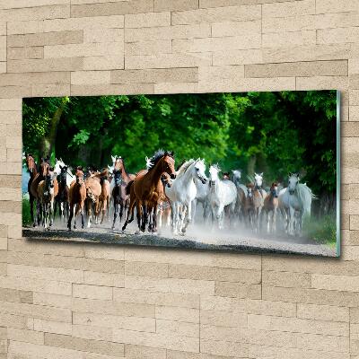 Tableau en verre Chevaux au galop