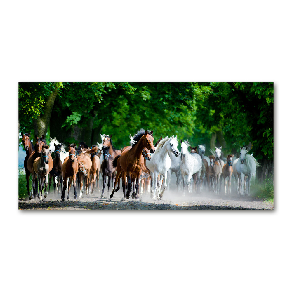 Tableau en verre Chevaux au galop