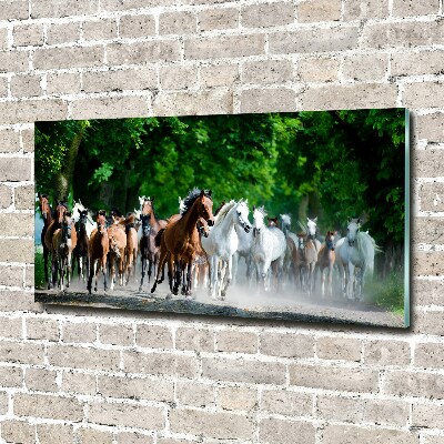 Tableau en verre Chevaux au galop