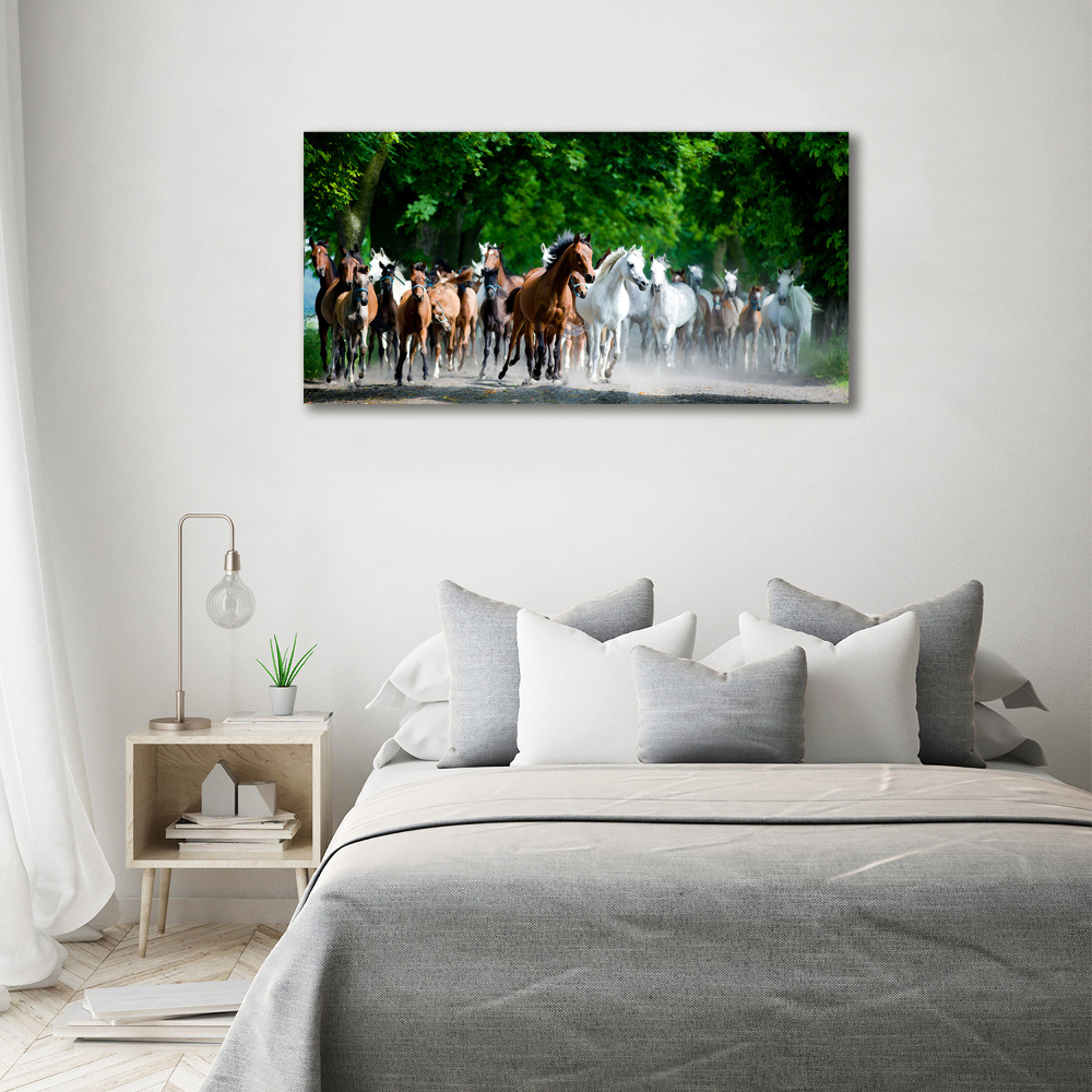 Tableau en verre Chevaux au galop