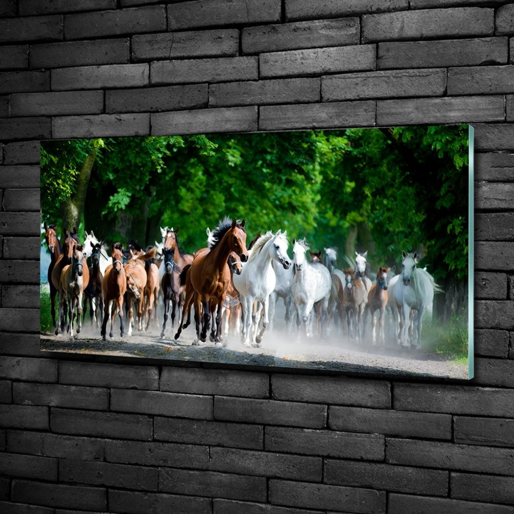 Tableau en verre Chevaux au galop