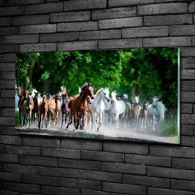 Tableau en verre Chevaux au galop