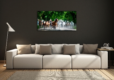 Tableau en verre Chevaux au galop