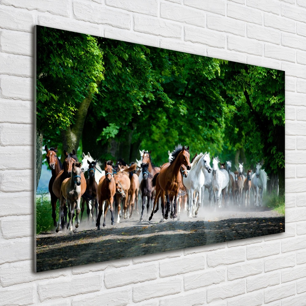 Tableau en verre Chevaux au galop