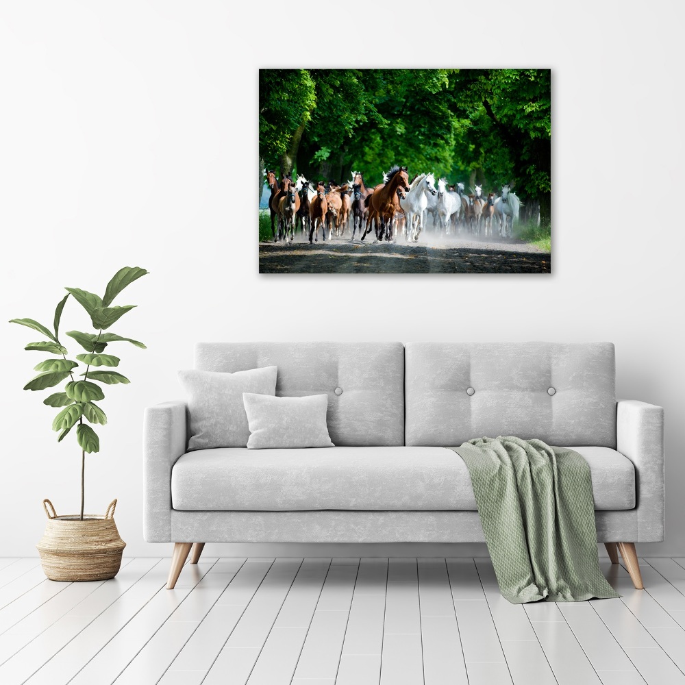 Tableau en verre Chevaux au galop