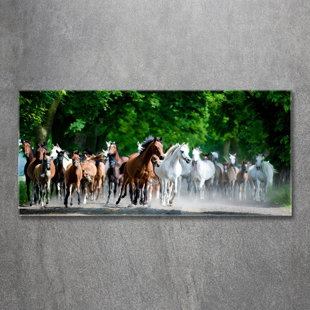 Tableau en verre Chevaux au galop