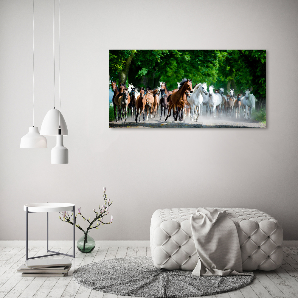 Tableau en verre Chevaux au galop