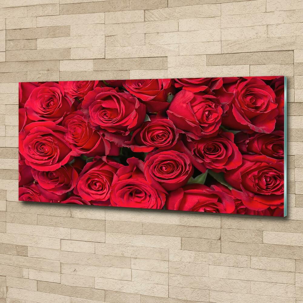 Tableau photo sur verre Roses rouges