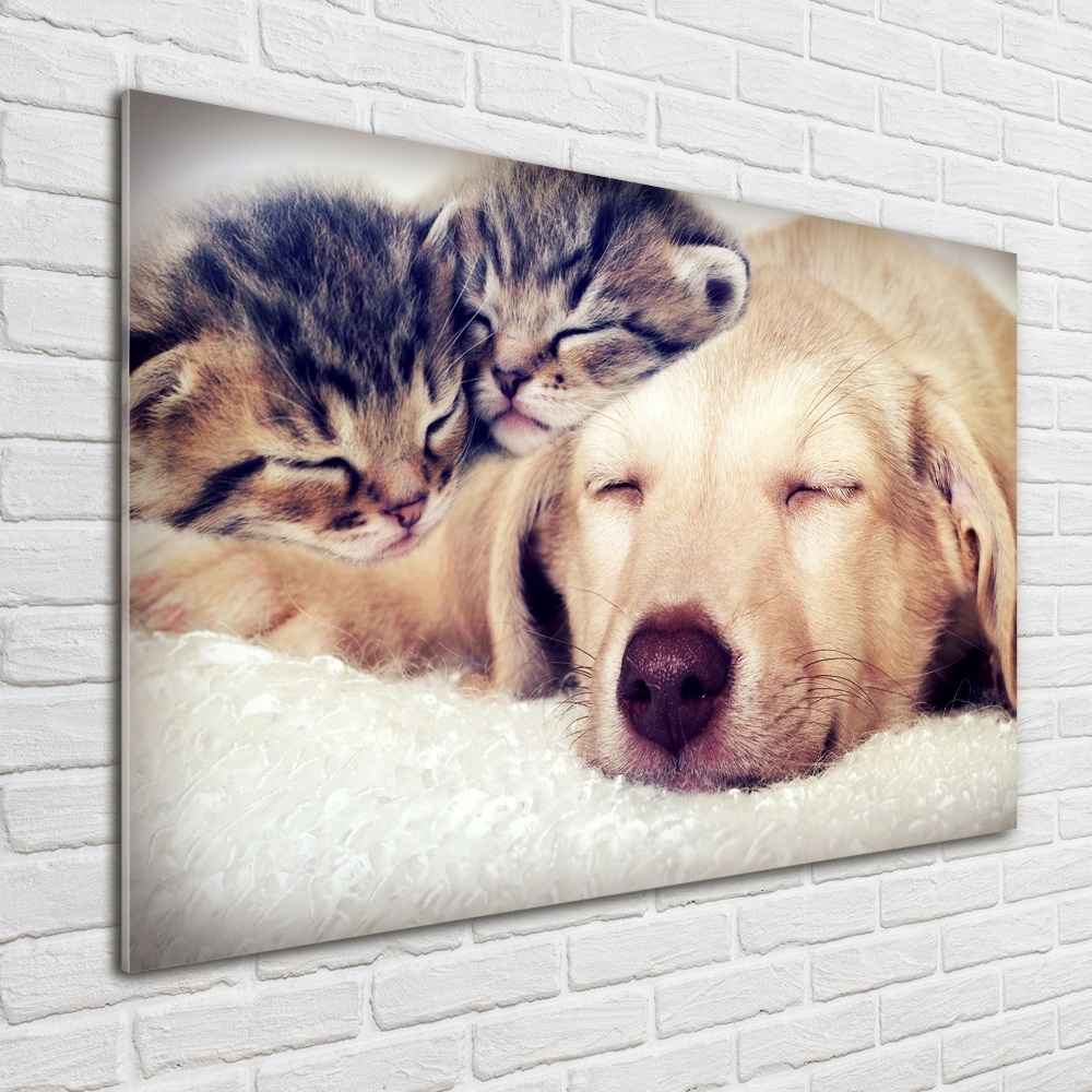 Tableau sur verre Chiot et chats