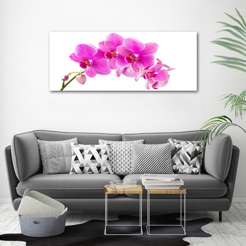 Tableau en verre Orchidée rose