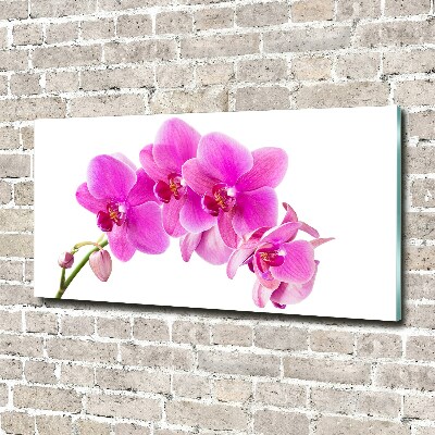 Tableau en verre Orchidée rose