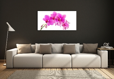 Tableau en verre Orchidée rose