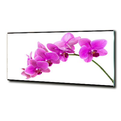 Tableau sur verre Orchidée rose