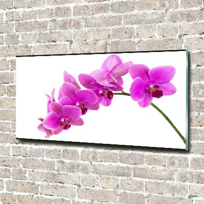 Tableau sur verre Orchidée rose