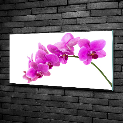 Tableau sur verre Orchidée rose